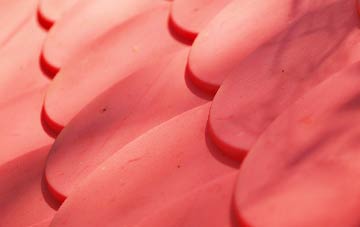 Blythswood plastic roof costs