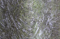 Blythswood fibreglass roof work